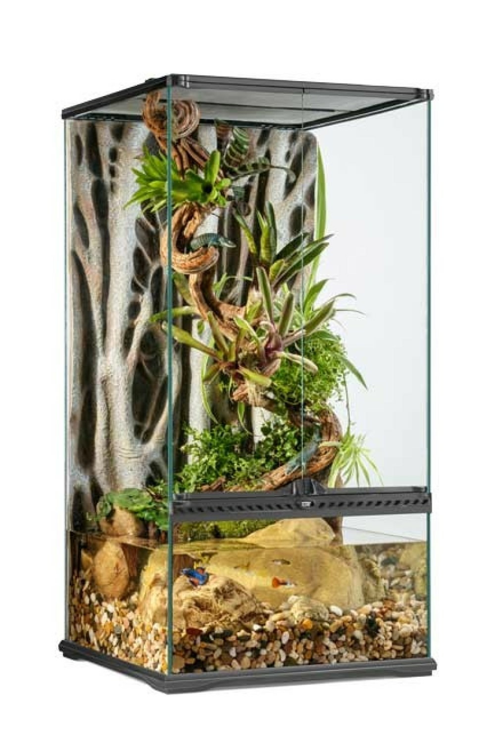 Terrarium en Verre pour Reptiles et Amphibiens/paludarium s/x-tall