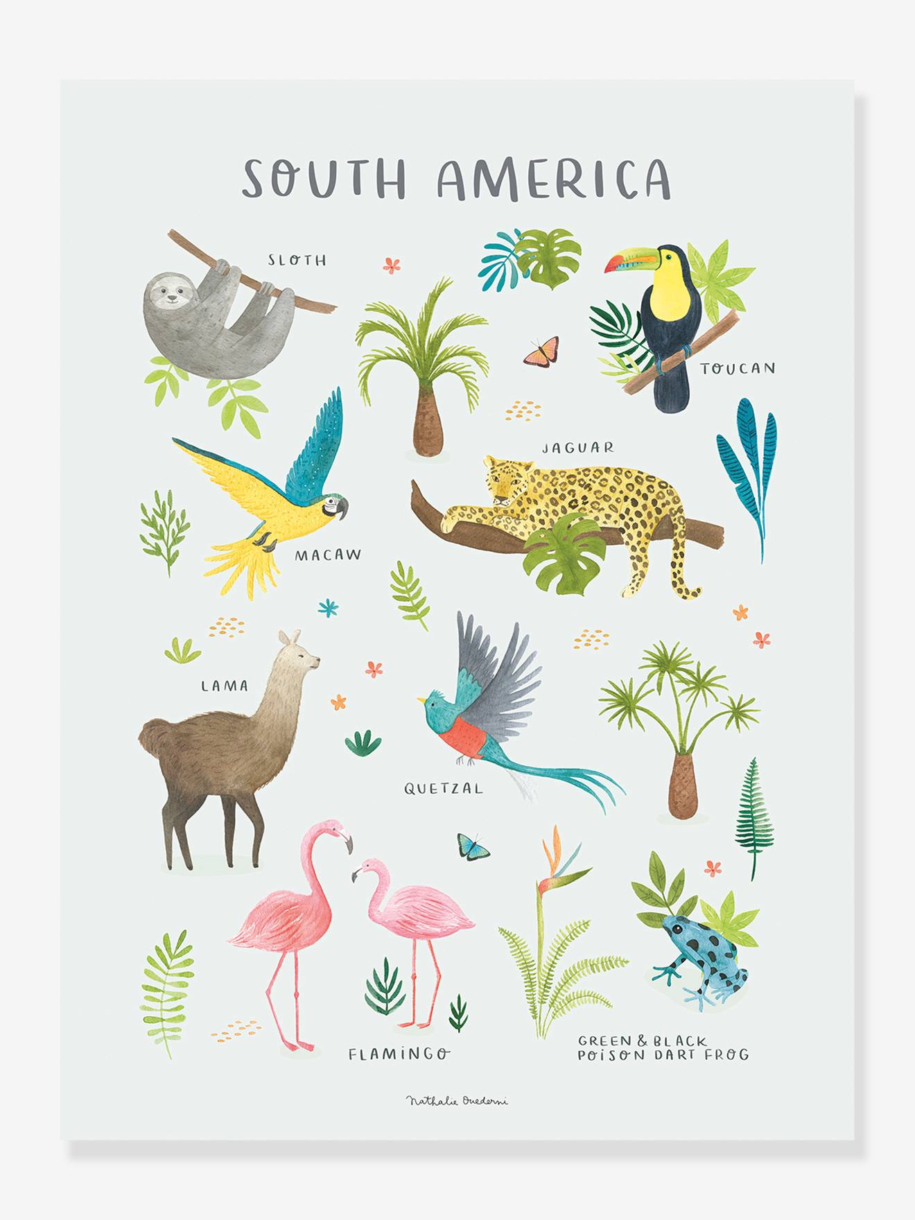 Estampa de animais sul-americanos Lilydale LILIPINSO multicolorida