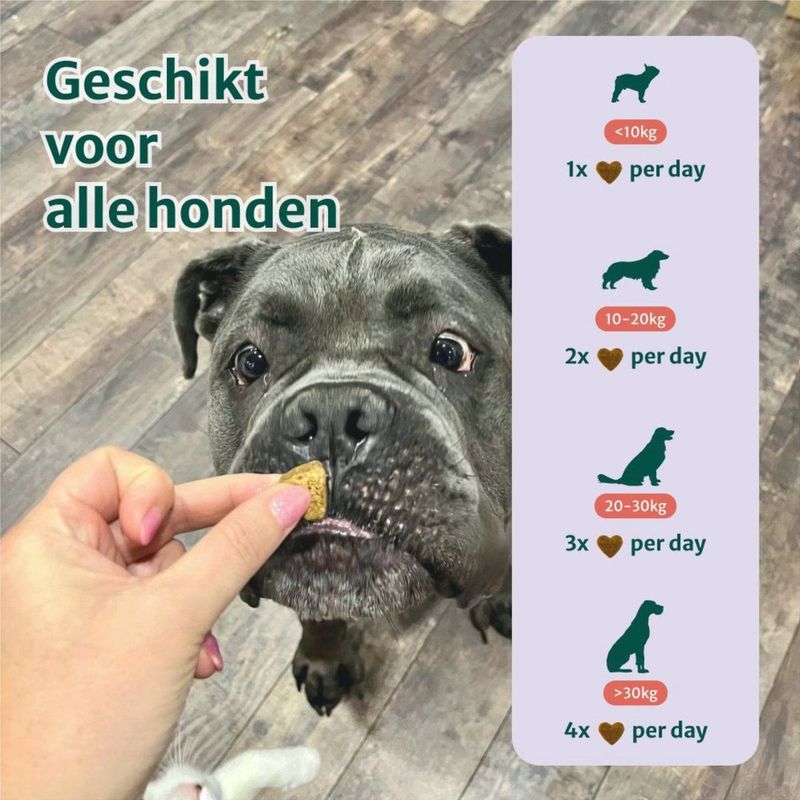 Anti-Stress - Kalmerend Supplement - 100% Natuurlijk - 60 Snoepjes - Voor Honden