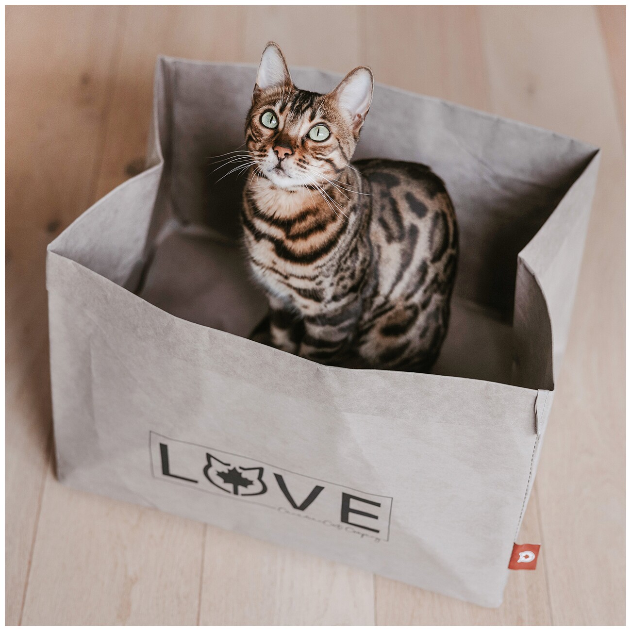 Canadian Cat Company Katzenbett Winnipeg