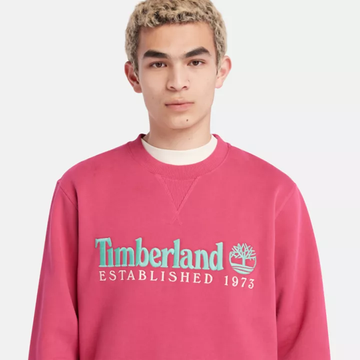 Moletom masculino rosa com gola redonda e logo 