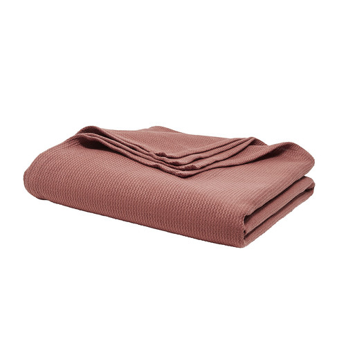 Today - PAONO - Terracotta