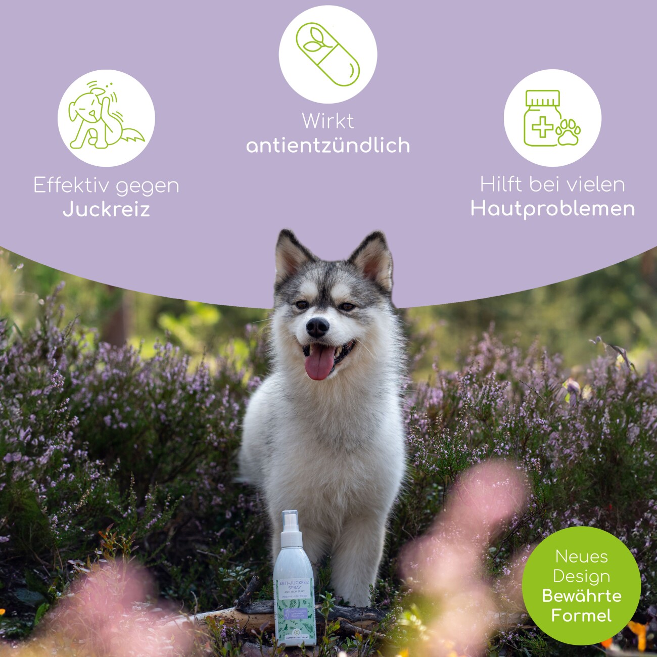 Wolfsbacher Natur Anti Juckreiz Spray