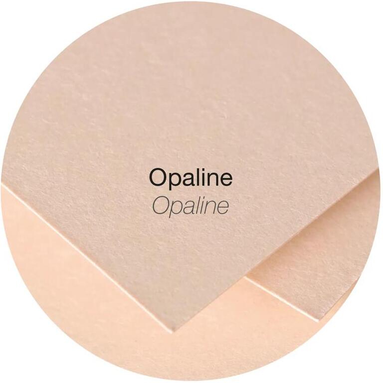 Paquet de 25 cartes pliées Pollen 160x160mm 210g/m2 - Opaline