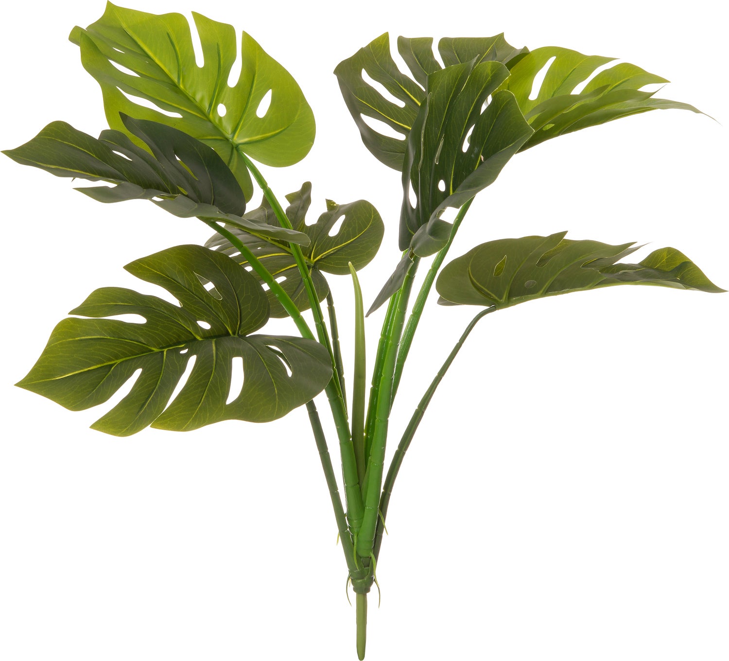 Intratuin kunsttak Monstera 66 cm groen