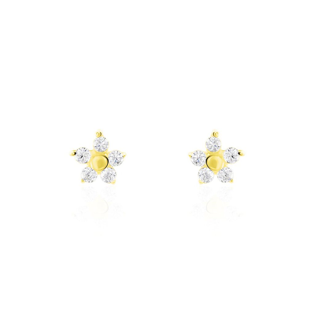 Boucles D'oreilles Puces Or Jaune Convallaria Oxydes