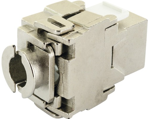 CAT 6A Keystone-module Schwaiger NKSS61 531