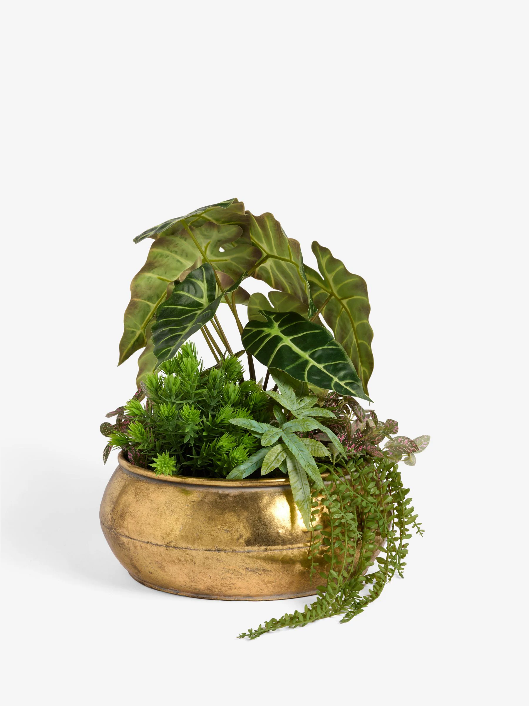 Kunstmatige succulentenopstelling