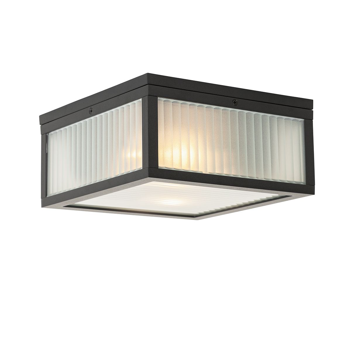 Buiten plafondlamp zwart met ribbel glas 2-lichts IP44 - Charlois
