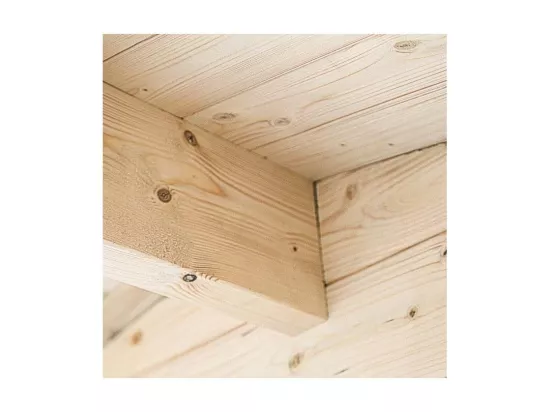 Abri de jardin toit plat avec auvent en bois 2,98 x 5,96 m