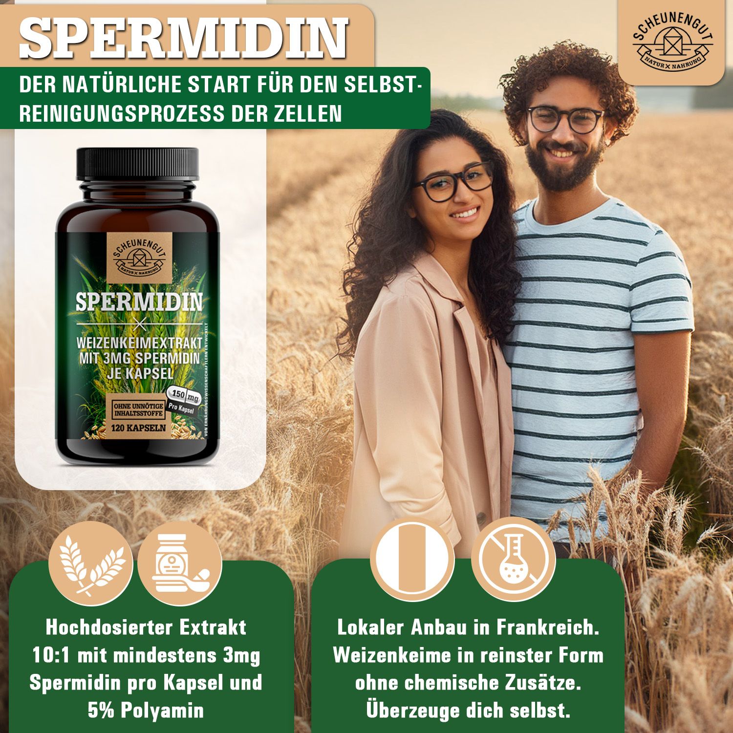 Scheunengut® Spermidin 3mg | Natürlich gewonnen aus Weizenkeimen