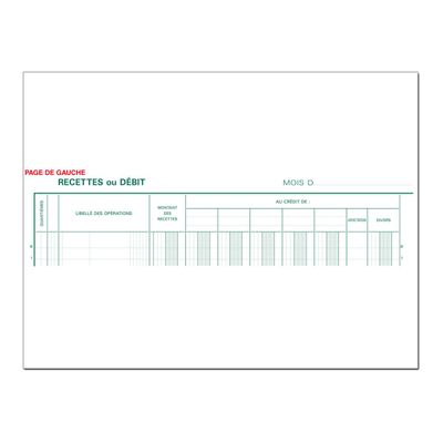Exacompta - Journal de caisse ou banque - 5 débits/5 crédits - 32 x 25 cm - 80 pages