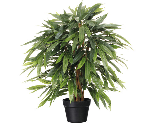 Kunstplant Treurficus, hoogte: 80 cm, groen