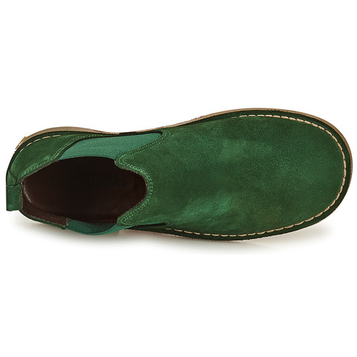 Citrouille et Compagnie - HOVETTE - Vert