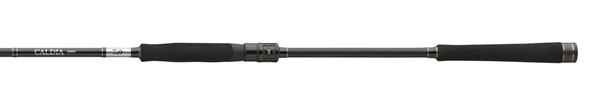 Canne Daiwa Caldia Spin