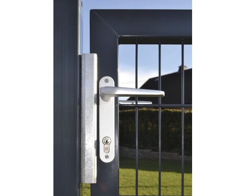 Premium dubbele poort 300 x 80 cm 8/6/8 kader 60x40 incl. palen voor betonnering, thermisch verzinkt