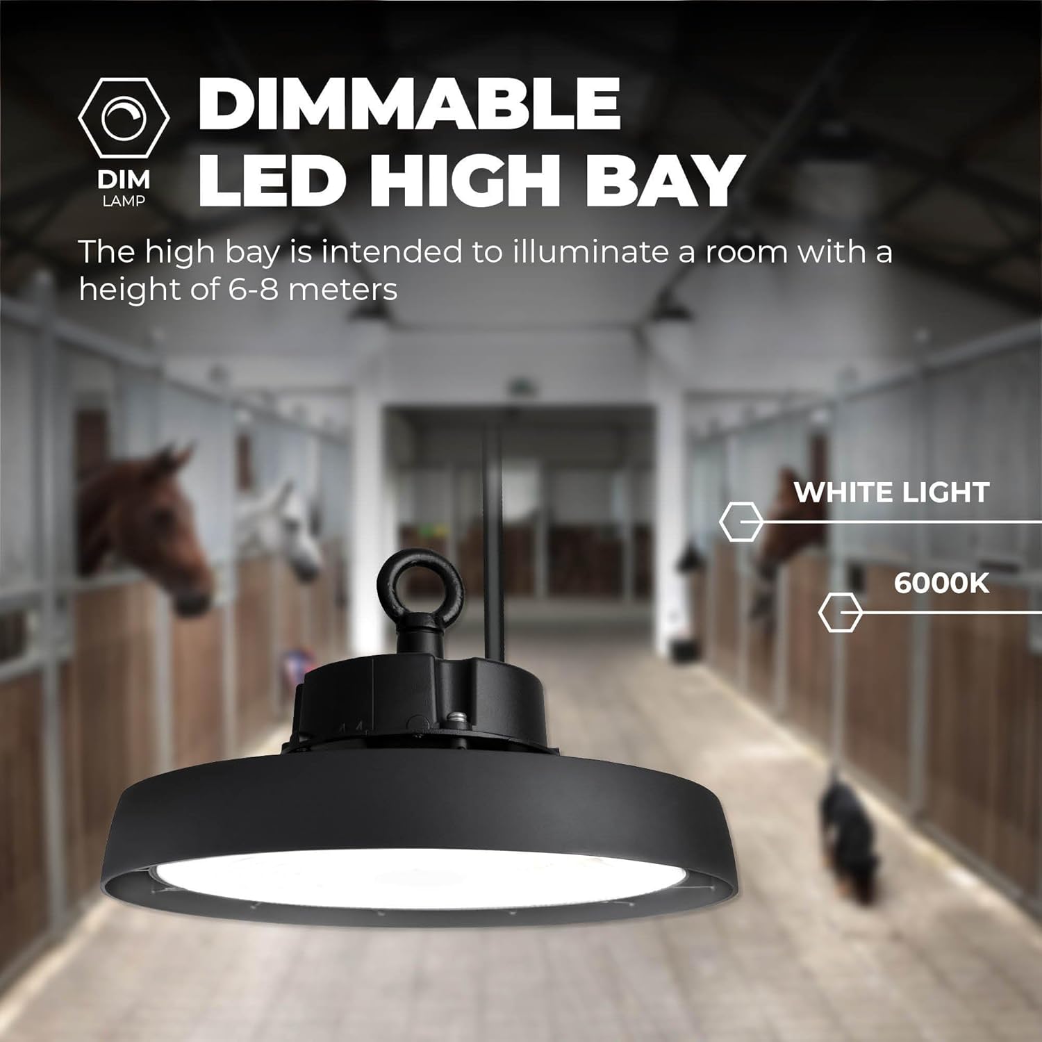 Ledvion - LED Hallenstrahler, IP65, 150W, 192 lm/W, Energieklasse A, 6000K, Dimmbar, werkstattbeleuchtung, hallenbeleuchtung, deckenleuchte werkstatt, Industriestrahler