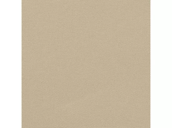 Auvent latéral rétractable beige 200x500