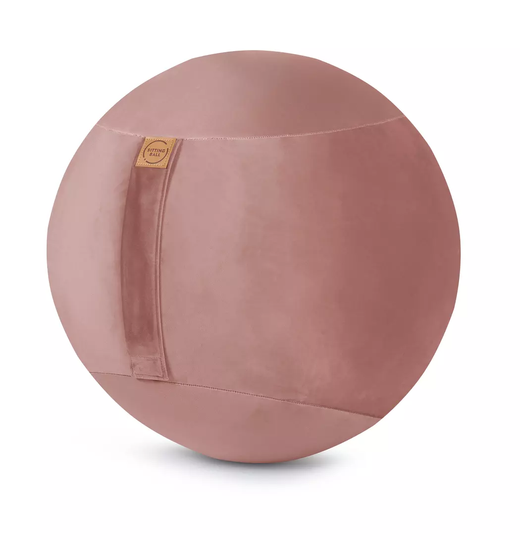 Sitzball Samt Uni