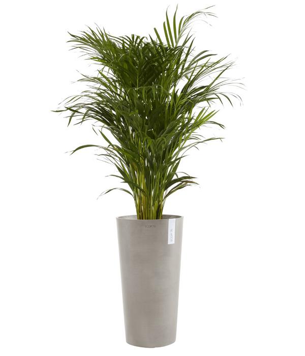 Ecopots Kunststoff-Topf Amsterdam hoch, rund