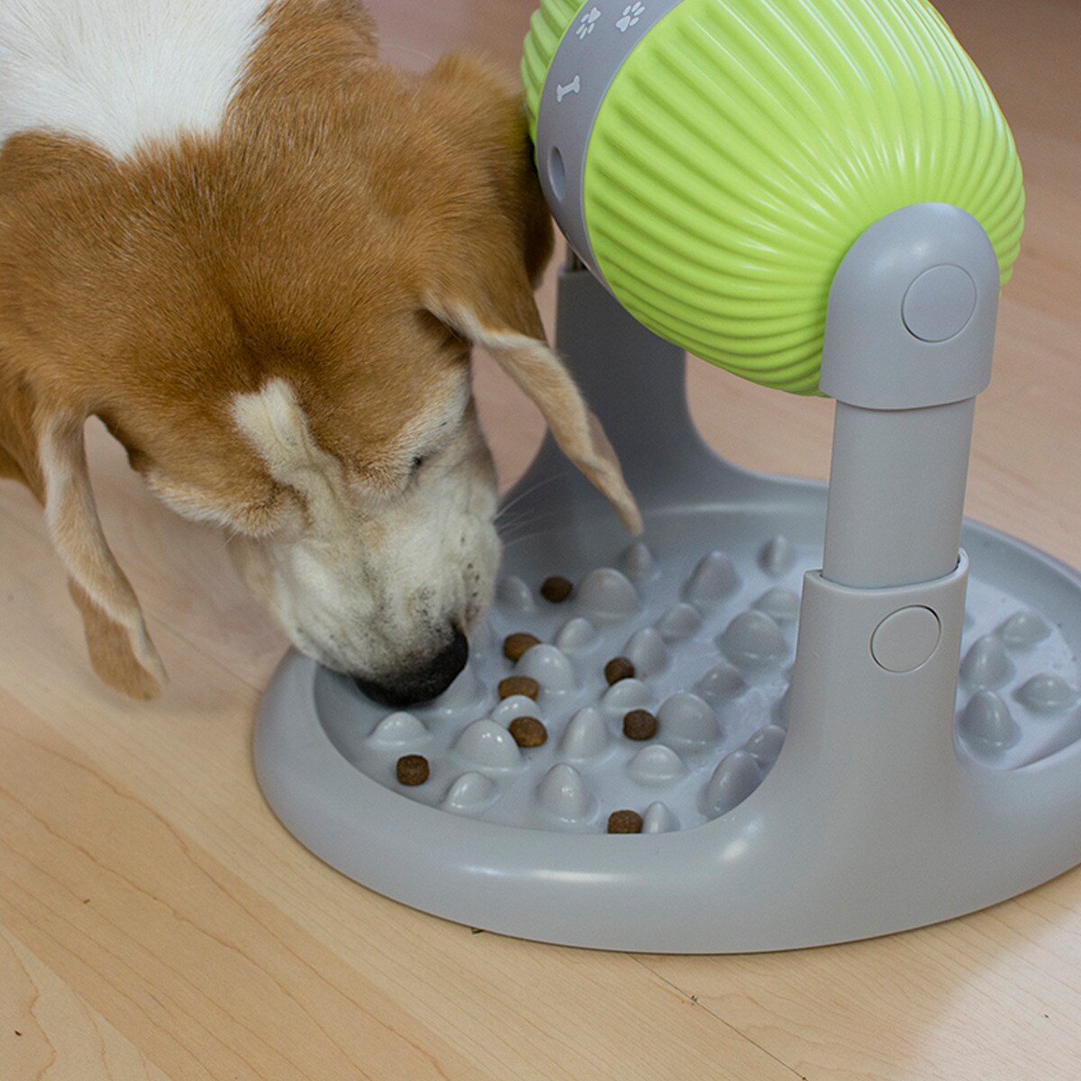 Best Direct® Hunde Futternapf - langsame Fütterung - Hundenapf Pet Slow Feeder