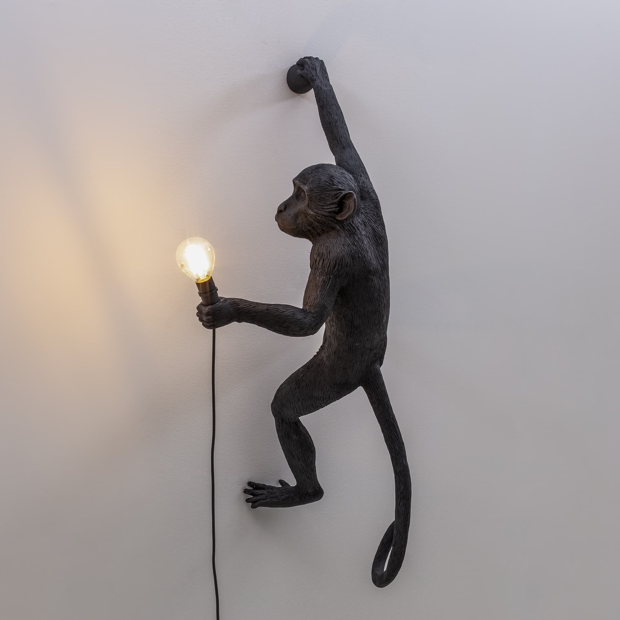 Seletti Monkey Outdoor Lampresin Hanging