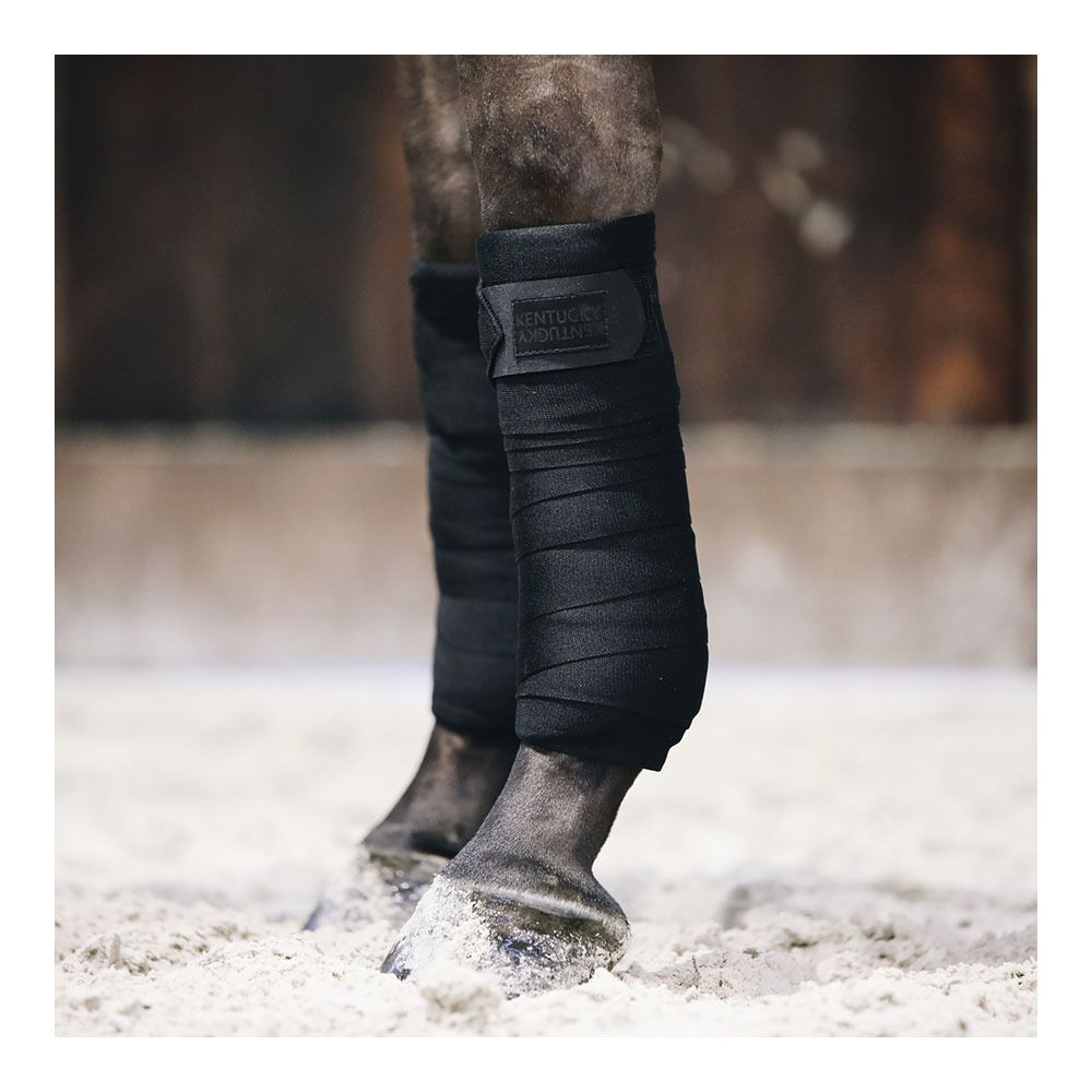 Kentucky REPELLENT - Bande de travail x2 noir