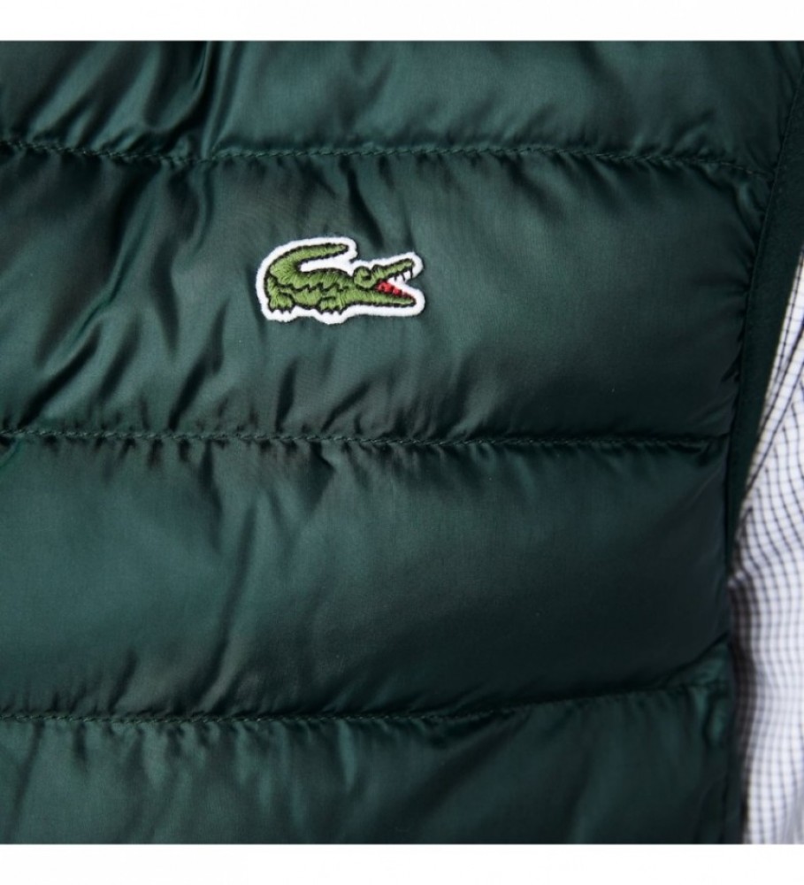 Colete acolchoado Lacoste verde