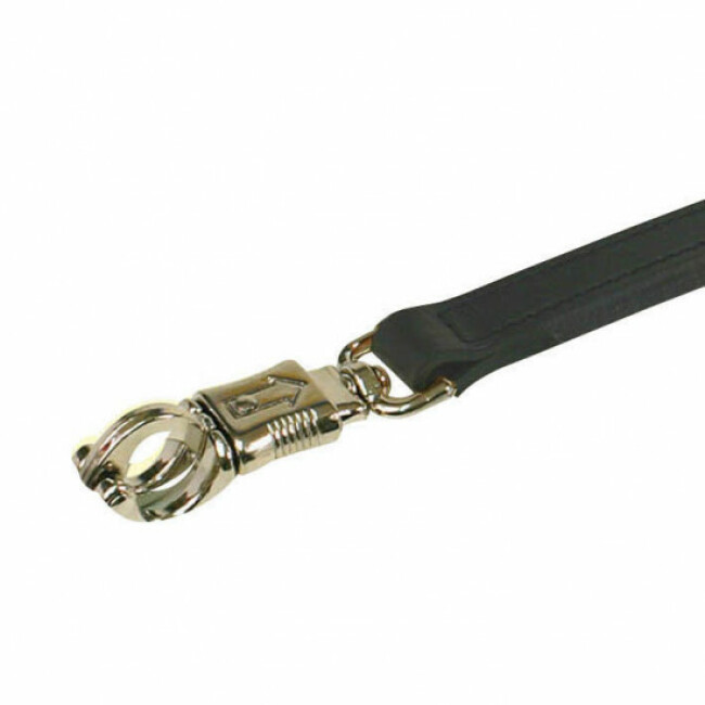 Laisse courte 50 cm en cuir pour chien