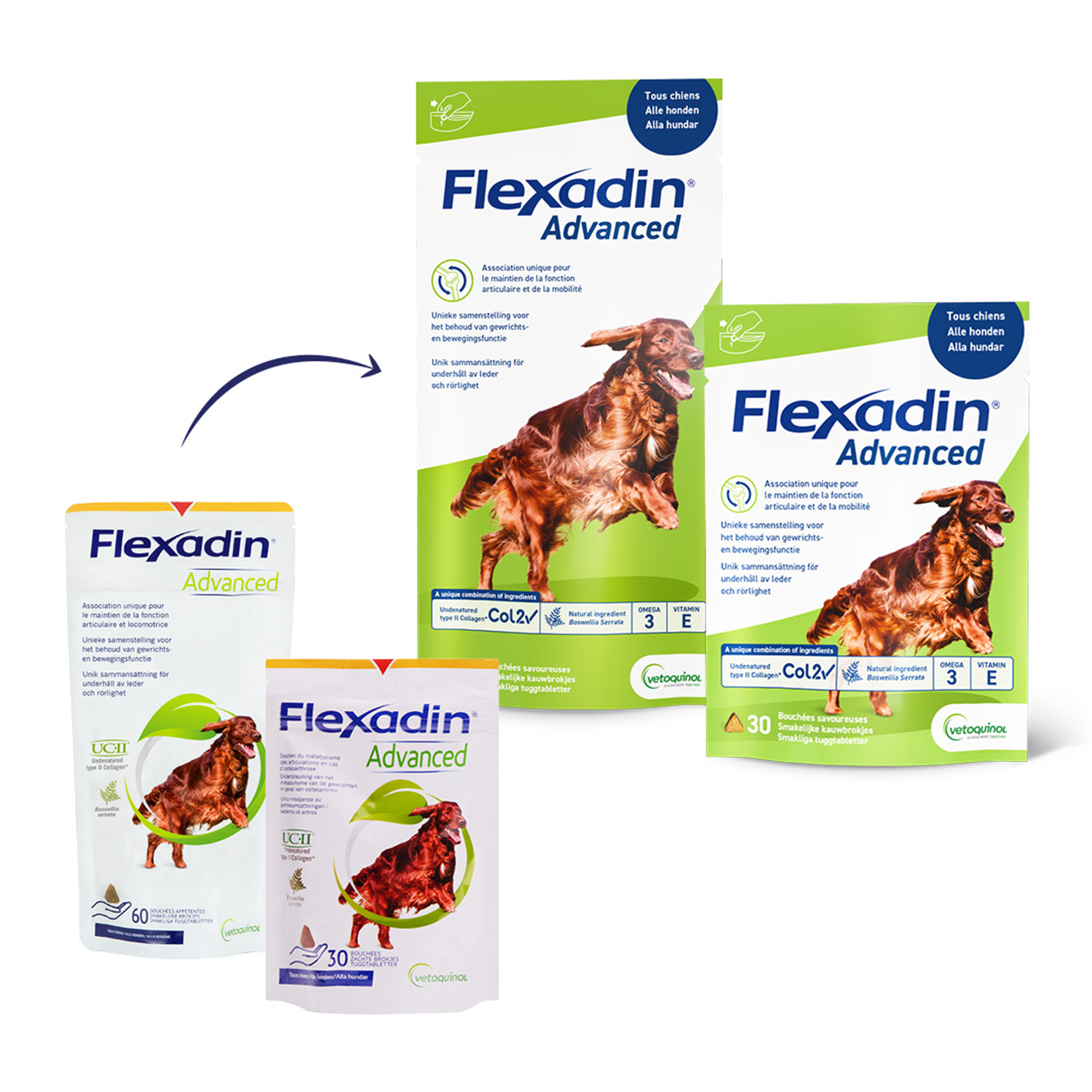 Flexadin Advanced Hond