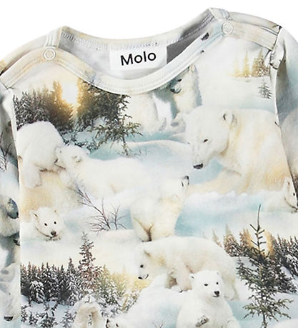 Molo Body l/æ - Foss - Snowy Bears