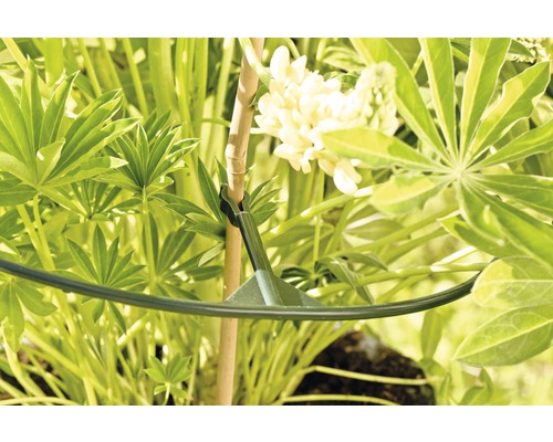 FloraSelf kunststof Vario plantensteun, Ø 40 cm, 3 stuks