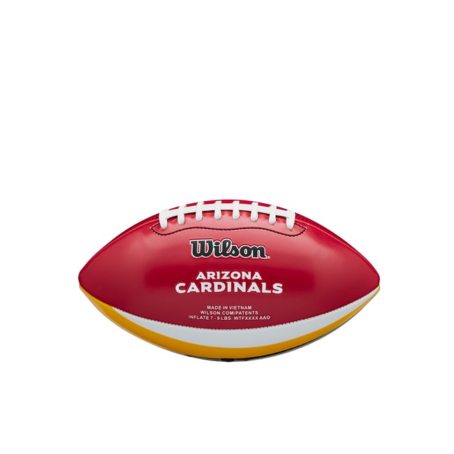 Mini NFL Team