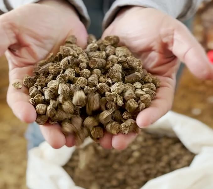 Cama para pássaros com grânulos de tabaco - A nicotina atua como antiparasitário - 100% natural