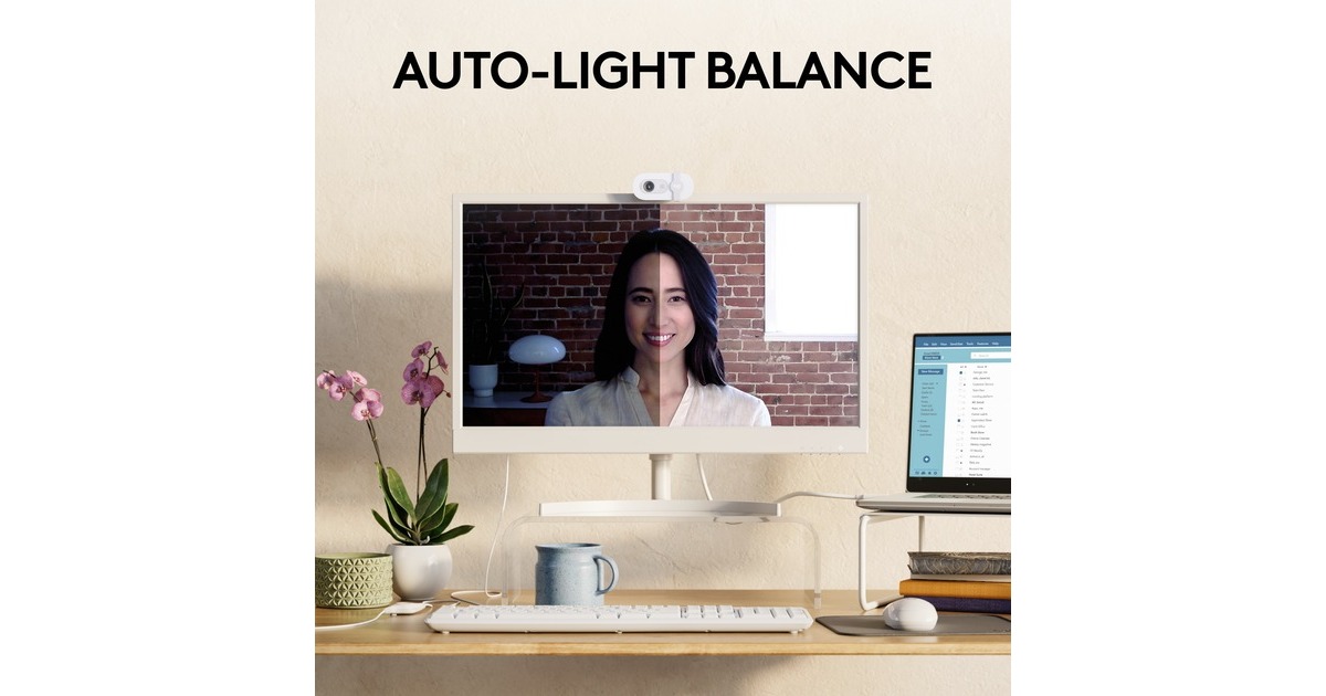 LogitechBrio 100 webcam  (Wit)