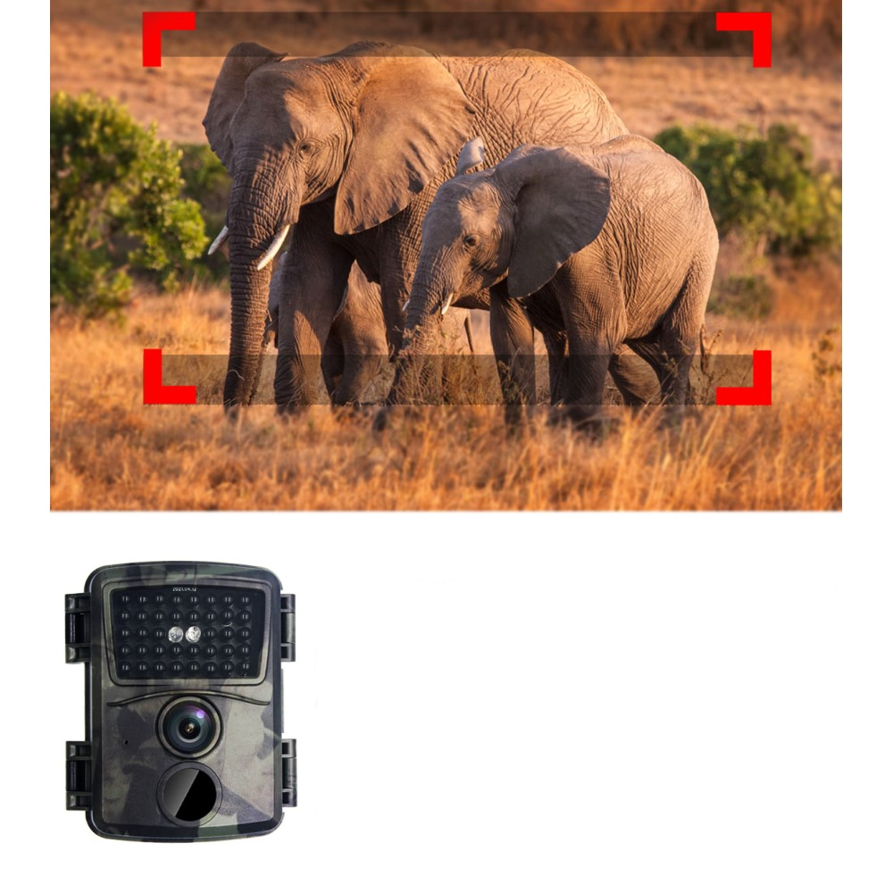 Mini Outdoor Wildtier (12MP) Kamera Nachtsichtkamera mit 38 LED's (IP54) Micro SD Kartenslot - Camouflage