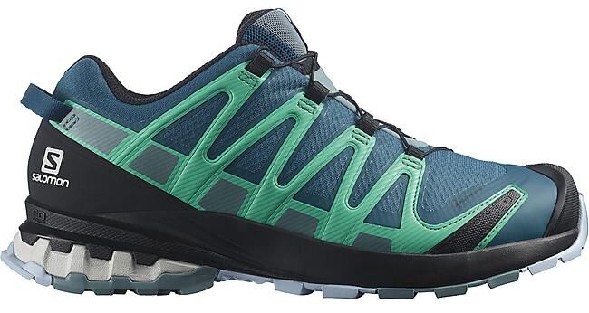 SALOMON - CHAUSSURES DE TRAIL XA PRO 3D V8 GTX W
