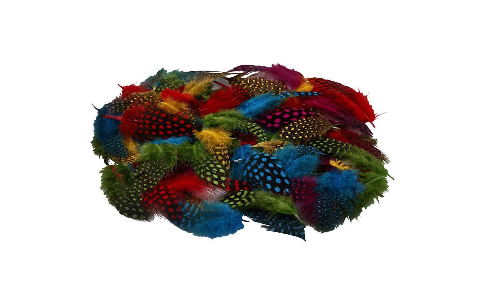 Federn Perlhuhn MehrfarbigPerlhuhn Federn Sortiment
