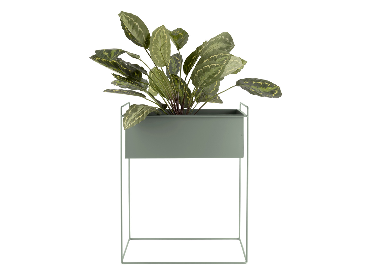 Plant pot set Essence straight iron jungle green