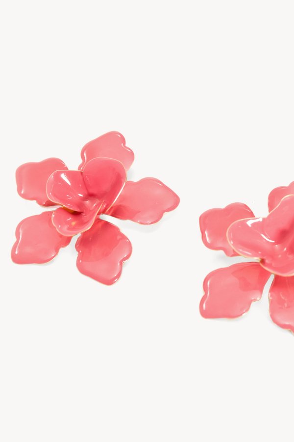 WHERE LOVE BLOSSOMS
