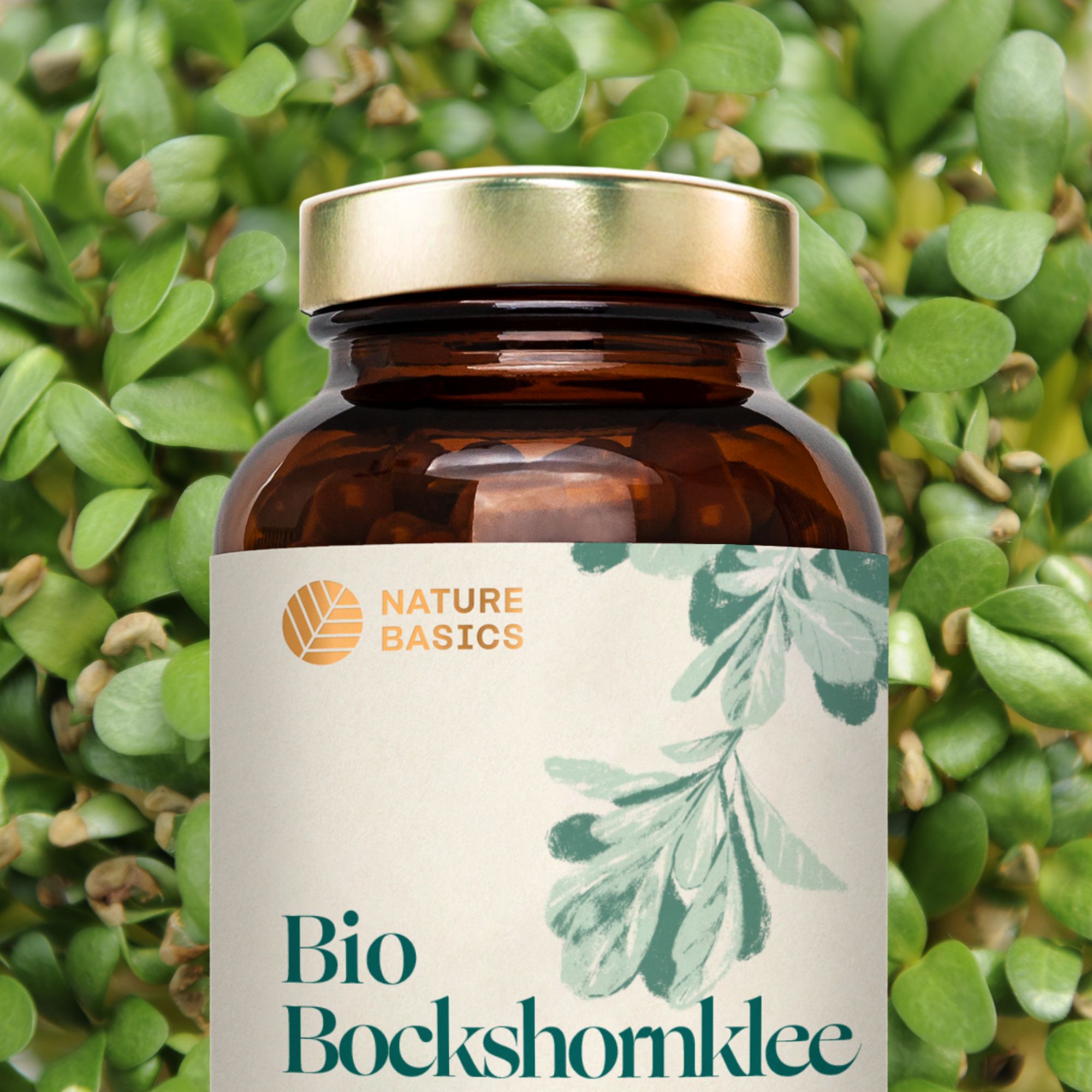 Nature Basics Bio Bockshornklee