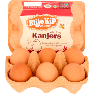 Blije Kip Eieren Vrije Uitloop Kanjers 6 Stuks