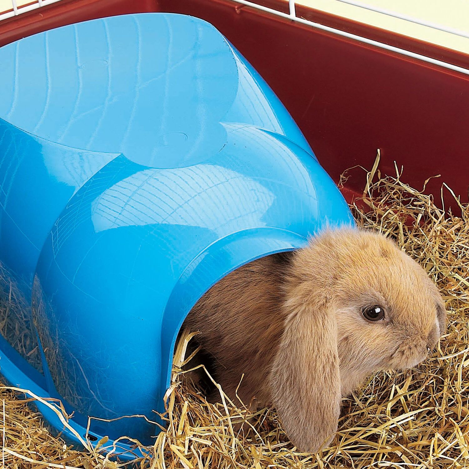 Savic Cocoon