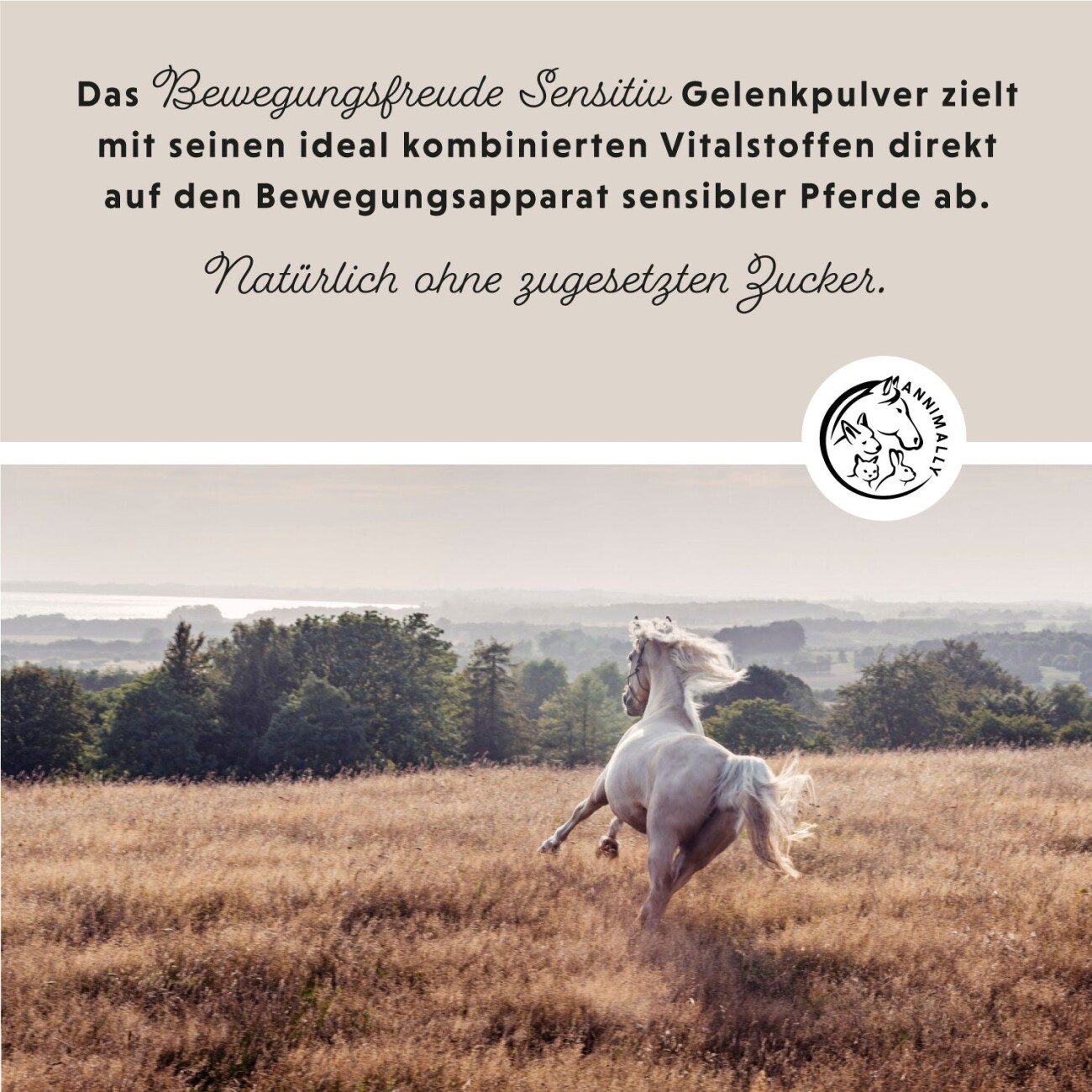 Annimally Bewegungsfreude Sensitiv 850 g