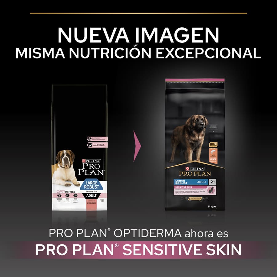 Pro Plan Adult Large Robust Salmon Dog Food para cães com pele sensível.