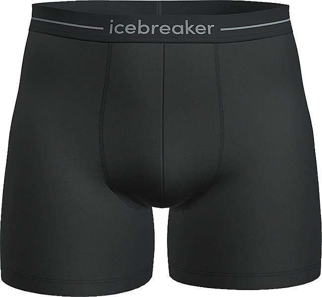 ICEBREAKER - BOXER ANATOMICA M