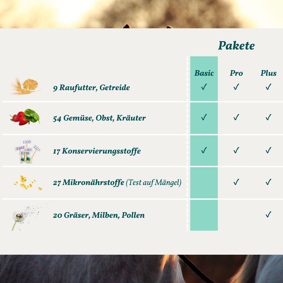Allergietest Basic Pferd