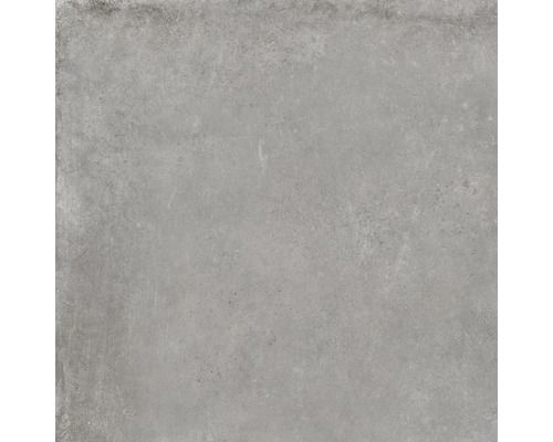 Porseleinen terrastegel Cortina Plus Grijs gerectificeerde rand 60 x 60 x 2 cm