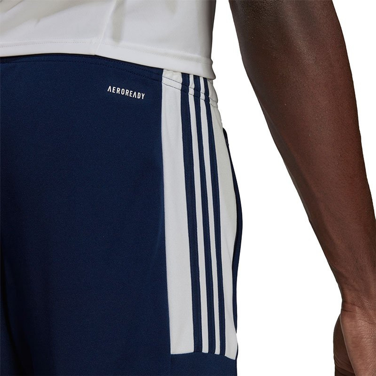 adidas Squadra Training Pant
