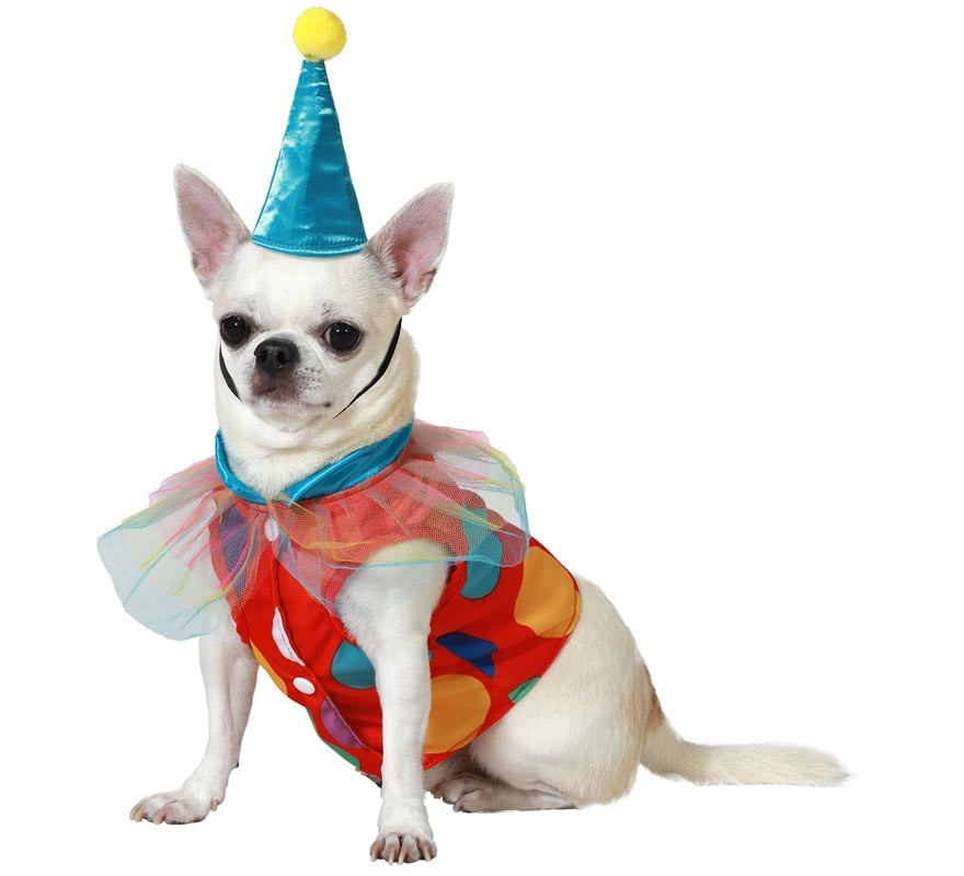 Fantasia de palhaço Atosa com chapéu para cães